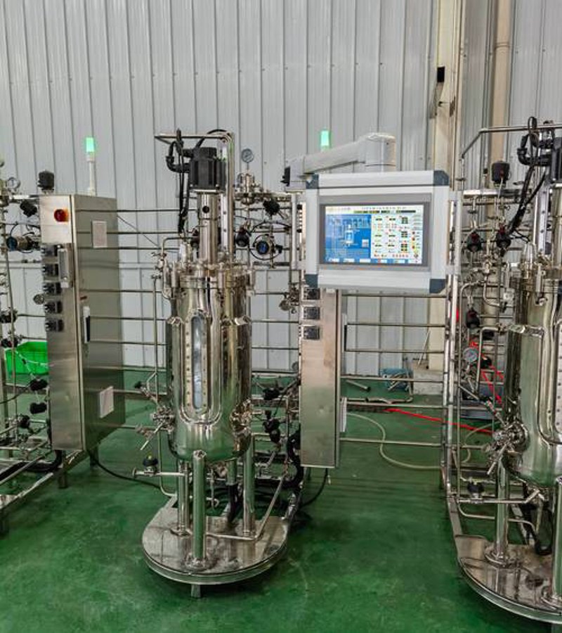 山东生物科技公司的崛起与创新