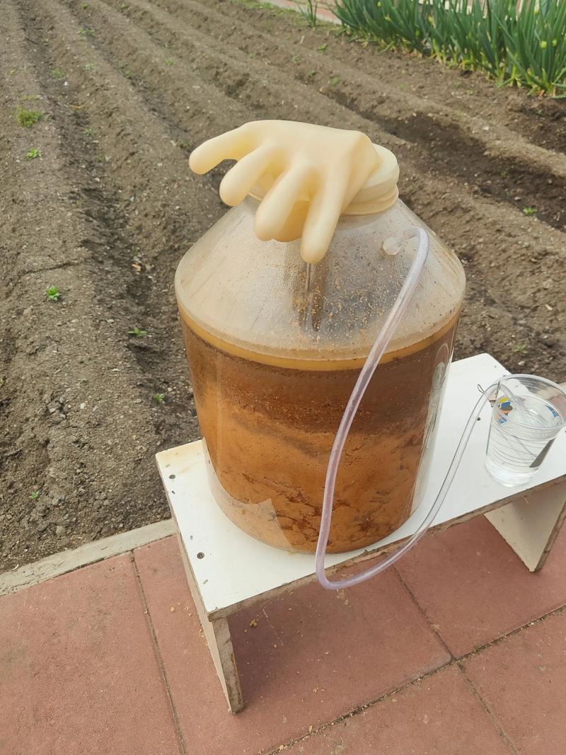 酶制剂定制：工业进步的新引擎