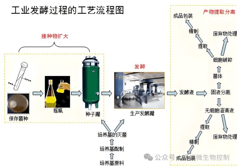 生物制品转让市场观察：推动行业发展的新引擎