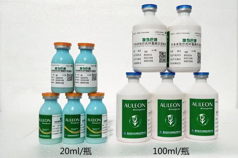 酶制剂定制：生物科技的精妙艺术